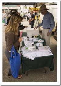 Lisa sampling cheese at the Albany Farmer's MarketLisa sampling cheese at the Albany Farmer's Market