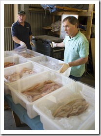 Fishmongers at the Boat Shed Markets