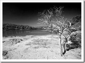 Saint Mary's Inlet