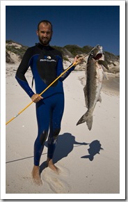 Sam with the mother of all Morwongs at Munglinup Reef