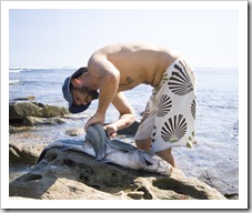 Sam filleting the mother of all Morwongs at Munglinup Reef