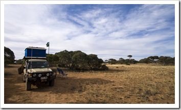 Camping amongst the Mallee scrub on the Nullarbor Plain