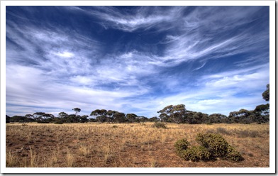Big skies above the Mallee scrub on the Nullarbor Plain