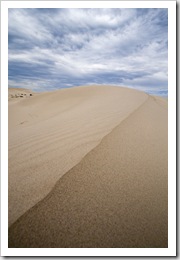 Striking white sand dunes at Eucla National Park