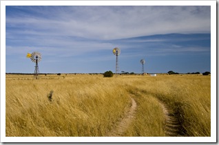 The famous windmills of Penong