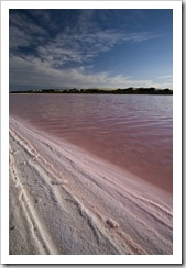 A pink salt lake on the track to Cactus Beach