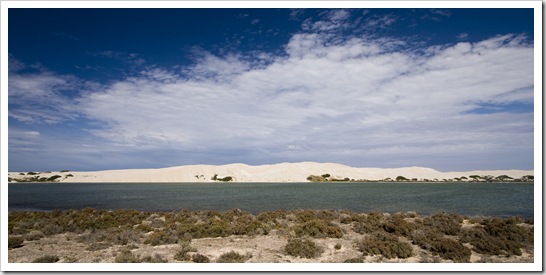 The striking white sand dunes near Cactus Beach