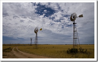 The famous windmills of Penong