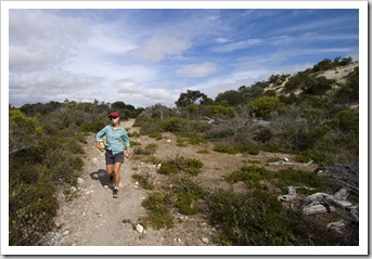 The hiking trails around Yangie Bay