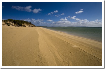 Beautiful beach north of Yangie Bay