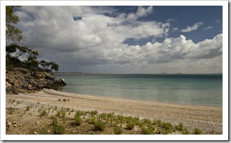 The awesome shell beach below our campsite at Black Springs