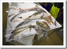 Our tour of one of the seafood processors in Port Lincoln