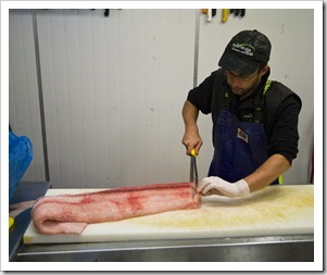 Slicing up a shark fillet for fish and chip shops