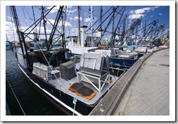 The prawn fleet dormant in Port Lincoln