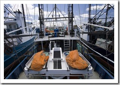 The prawn fleet dormant in Port Lincoln