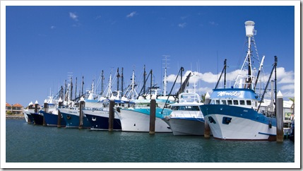 The prawn fleet dormant in Port Lincoln