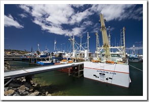 Fishing boats in Port Lincoln