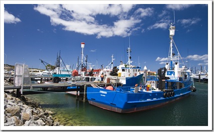 Fishing boats in Port Lincoln