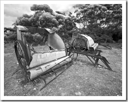 Relics of an agricultural past at Cape Donington