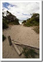 Short trail through the sand to the beach from our campsite at Memory Cove