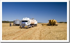 Finishing the harvest on the east coast of the Eyre Peninsula