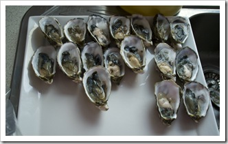 Oysters at the Browns' farm