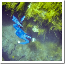 Sam diving in Piccaninnie Ponds