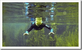 Sam diving in Piccaninnie Ponds