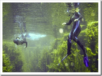 Gina and Lisa diving in Piccaninnie Ponds