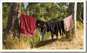 Drying our wetsuits after our dive in Piccaninnie Ponds