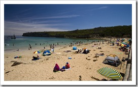 The busy beach at Port Campbell