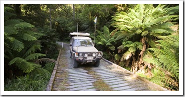 The Tank cruising the Otway Ranges