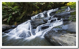 Triplet Falls in the Otway Ranges