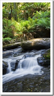 Triplet Falls in the Otway Ranges