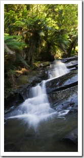 Triplet Falls in the Otway Ranges