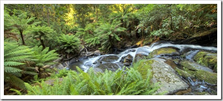 Triplet Falls in the Otway Ranges