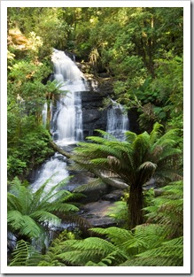 Triplet Falls in the Otway Ranges