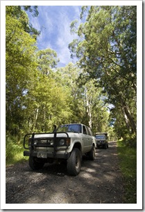 Bessie and The Tank cruising the Otway Ranges on the way to Lake Elizabeth