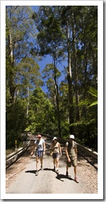 Chris, Gina and Lisa hiking to Phantom Falls