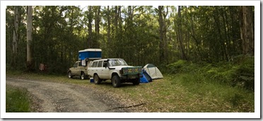 Camping at Big Hill in the Otway Ranges