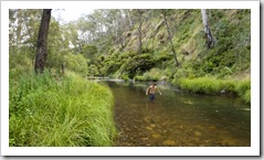 Chris cooling off in the Howqua River at Noonans Flat