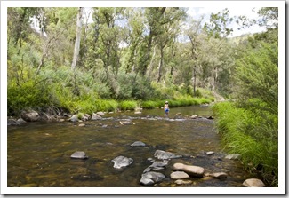 Lisa cooling off in the Howqua River at Noonans Flat