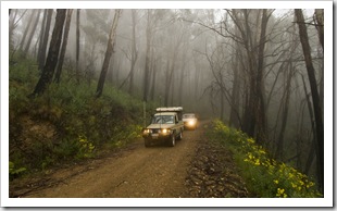 Bessie and The Tank making their way up Brocks Road through high country fog