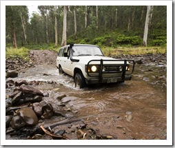 Bessie crossing the Jamieson River