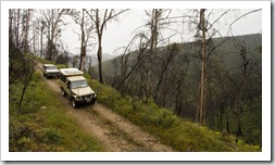 The Tank and Bessie working their way down the King Billy Track