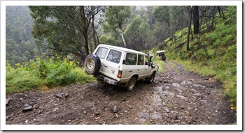 The Tank and Bessie tackling some steep, wet terrain along the King Billy Track