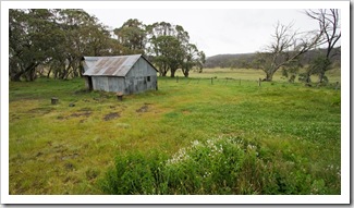 Howitt Plains Hut