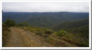 The Wombat Spur Track and the Victorian Alps
