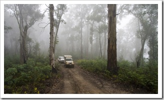 The Tank and Bessie in the fog along the Wombat Spur Track