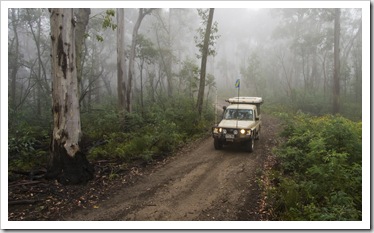 The Tank in the fog along the Wombat Spur Track